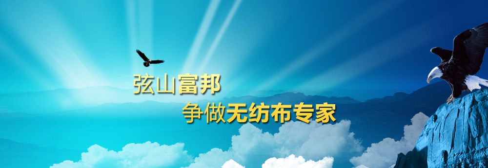 富邦非织造布有限公司